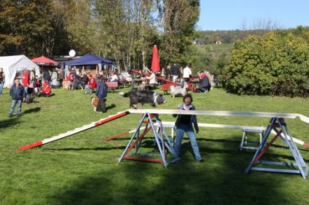 Campingplatz Blütengrund