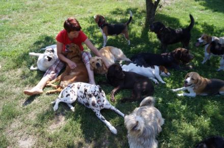 Steffi`s Hundewelt