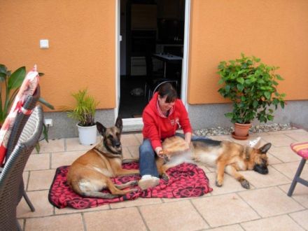 TIERPHYSIOTHERAPIE SAALEKREIS - Kerstin Gebauer