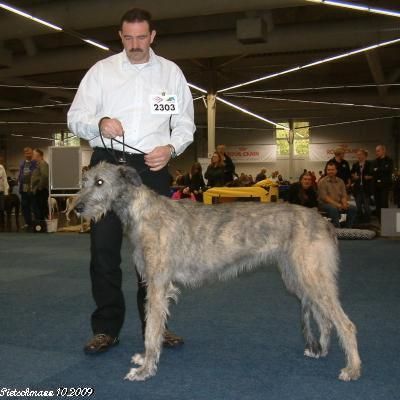 Von den Heidjer Wölfen