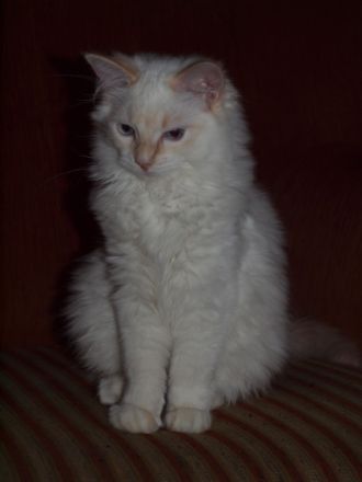 Freifrau & Freiherr von Streese