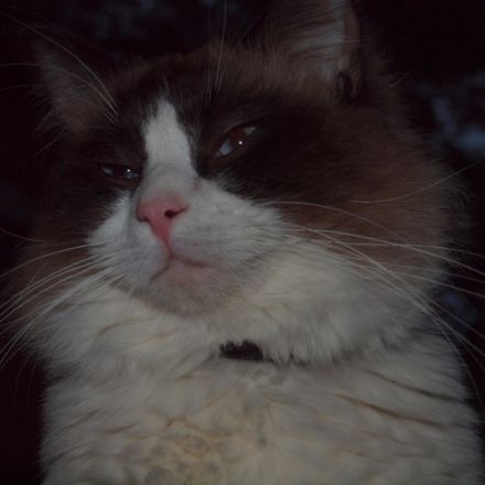 Freifrau & Freiherr von Streese