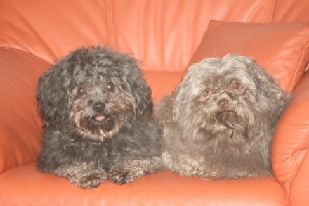 Paradies im Taubertal