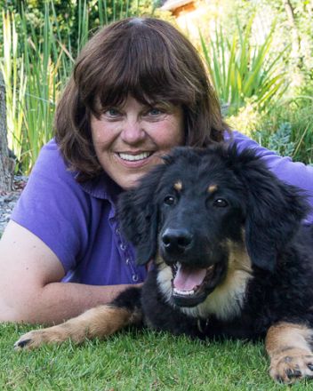 Hunde 1x1 in Datteln, Kreis Recklinghausen