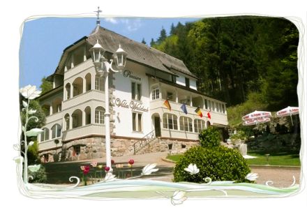 Pension VIlla Waldeck*** in Sankt Blasien