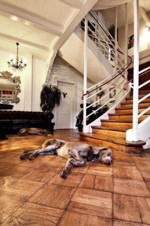 Pension VIlla Waldeck*** in Sankt Blasien