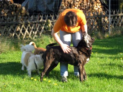 Tierpension Martina Kupfer