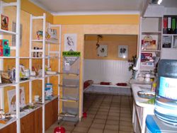 Kleintierpraxis Dr. med. vet. Juliane Seum