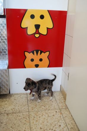 Tierarztpraxis Dr. Nadja Hultsch