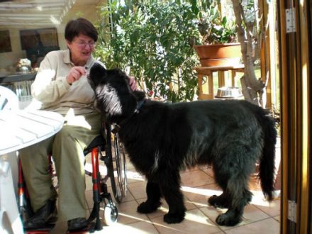 Hundeservice Baldham