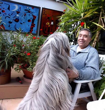 Hundeservice Baldham