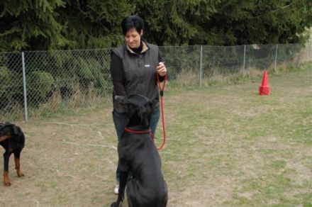 Hundesportplatz "Little Hill"