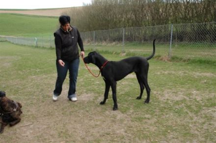 Hundesportplatz "Little Hill"