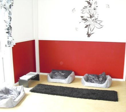 Hundezentrum elCanis