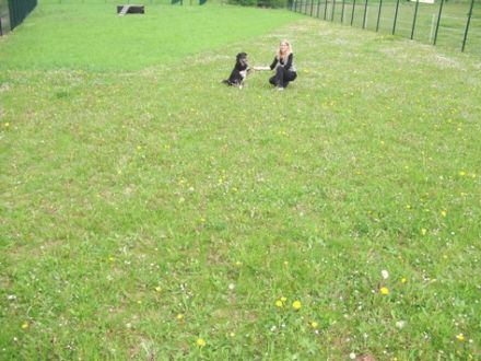 Hundezentrum elCanis