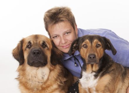 Hundeschule im Vierpfotenhotel