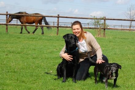 tierisch in balance - Praxis für ganzheitliche Tierheilkunde-