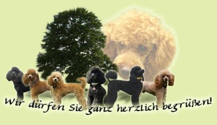 von der lichten Eiche