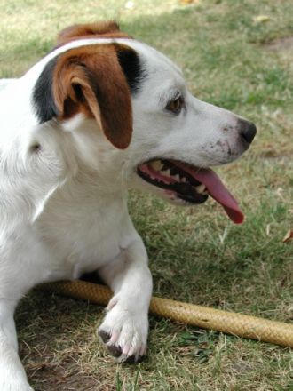 Addison J. gen. Cooper