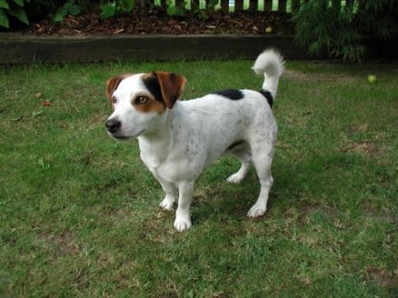 Addison J. gen. Cooper