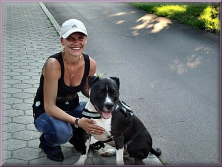 Wohlstandsköter, mobiles Training für Mensch und H