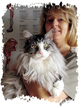 Naturheilkunde für Tiere