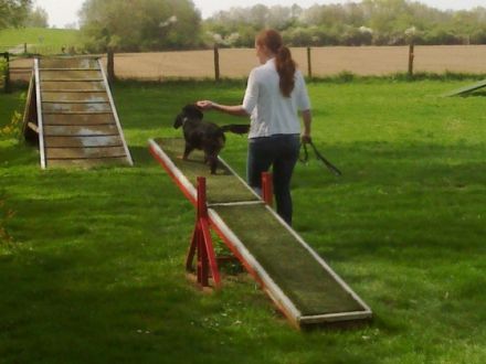 Hundefreunde - Elten "Auf dem Eyland"