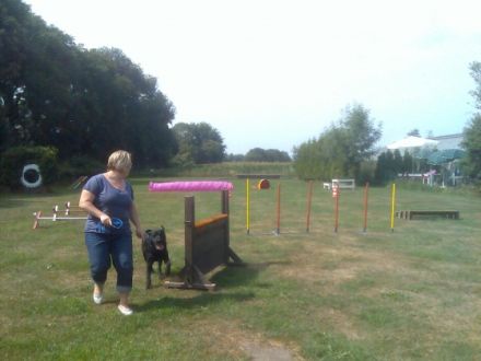 Hundefreunde - Elten "Auf dem Eyland"