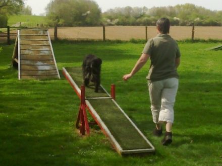 Hundefreunde - Elten "Auf dem Eyland"