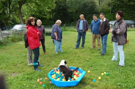 Gertrud`s Hundewelten
