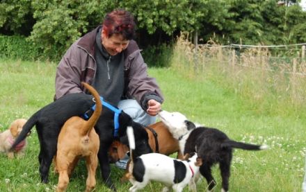 Gertrud`s Hundewelten