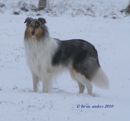 Byron from Bluesilver