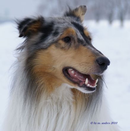 Byron from Bluesilver