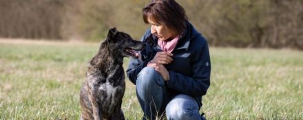 Tierzeit Hundeschule