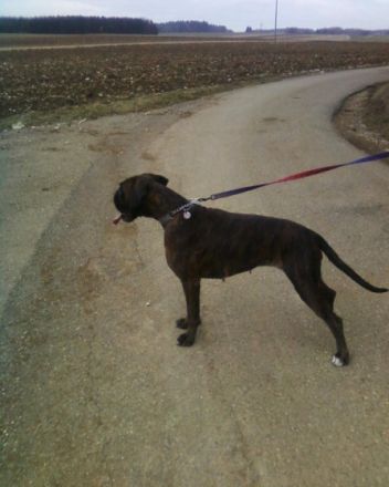 von der Nellenburg-Quelle