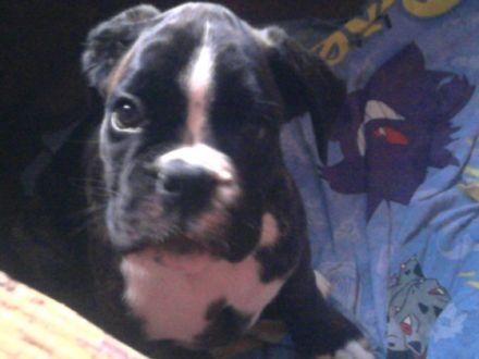 von der Nellenburg-Quelle