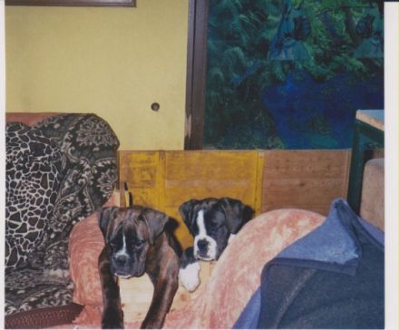 von der Nellenburg-Quelle