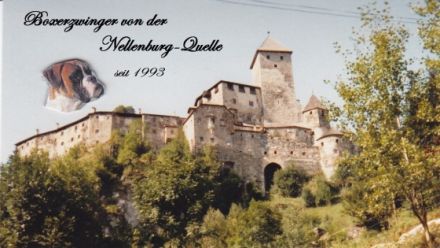 von der Nellenburg-Quelle