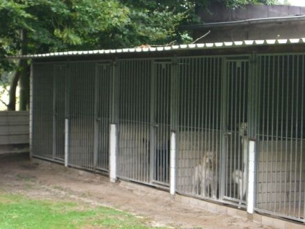 Tierpension Hinz