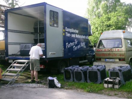 THERAPEUTISCHE HUNDESCHULE FÜR ANGSTHUNDE