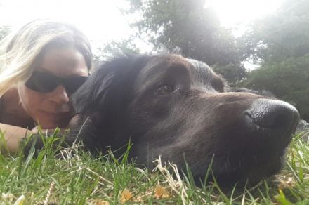 Mensch & Tiersuche- Hundetraining u. Pension