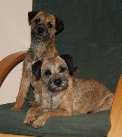 Hundepension Heineck