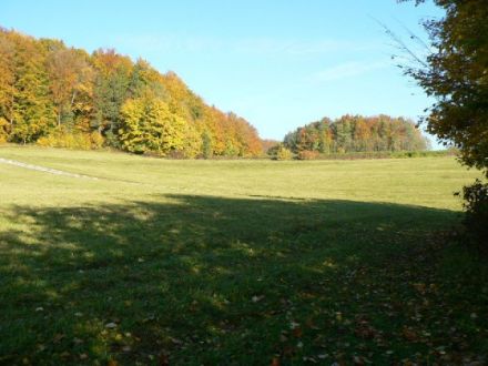 Hundeschule   -Frankenalb-