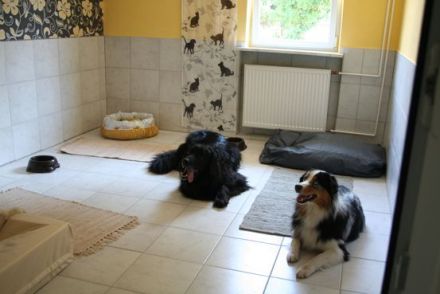 Königreich - Hotel für Tiere