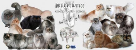 Silverdance