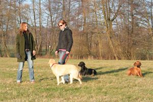 coach4dogs Hundeschule Frankfurt Main
