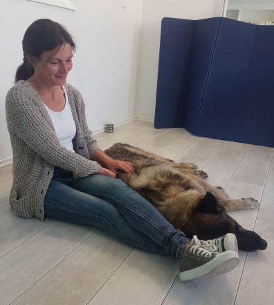 Tierheilpraxis Simone Fischer