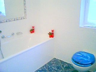 Ferienhaus Seerosl 2-6 Pers.+Hund