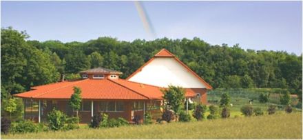 Hundeschule & Hunde- u. Katzenhotel FIRST CLASS