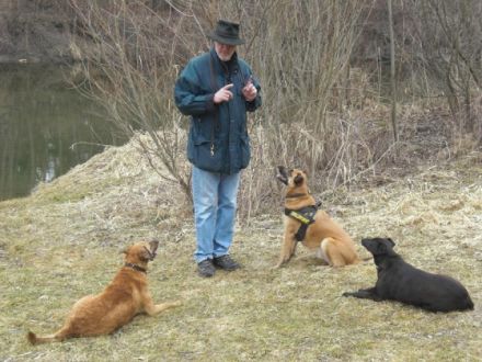 Mensch & Hund Oberding